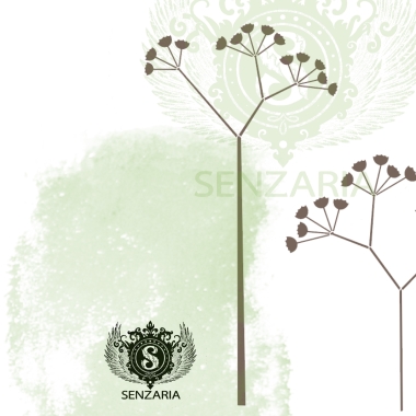 Трафарет - Полевые травы набор