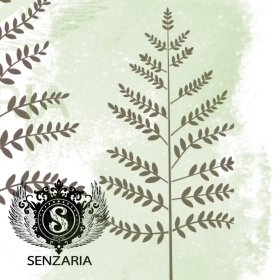 Трафарет - Пузырник дайка Трафарет - Пузырник дайка