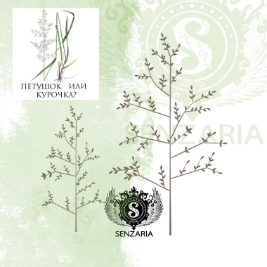 Трафарет - Петушок или курочка